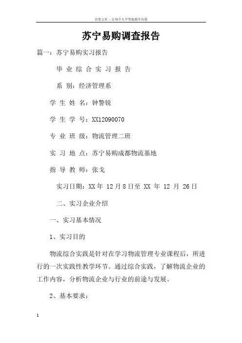 苏宁易购调查报告doc