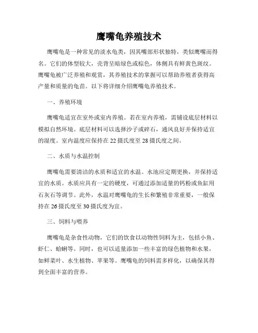 鹰嘴龟养殖技术