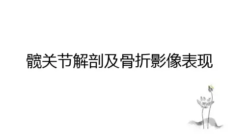 髋关节解剖及骨折影像表现