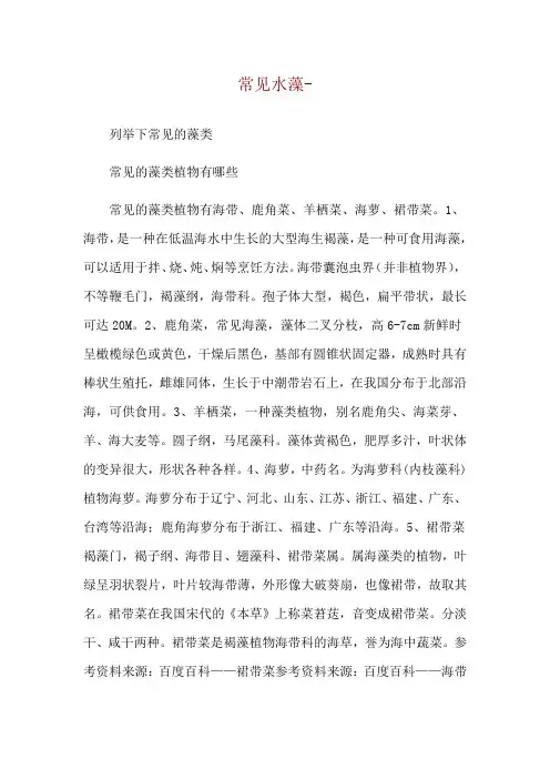 常见水藻--列举下常见的藻类