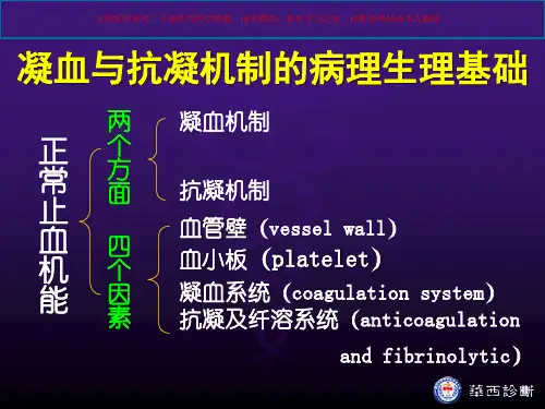 止血和凝血障碍检查培训课件