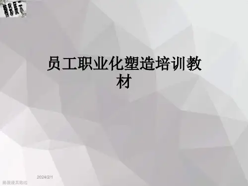 员工职业化塑造培训教材