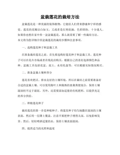盆栽莲花的栽培方法