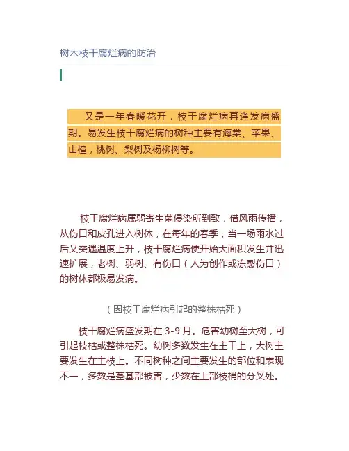 树木枝干腐烂病的防治【园林管理】