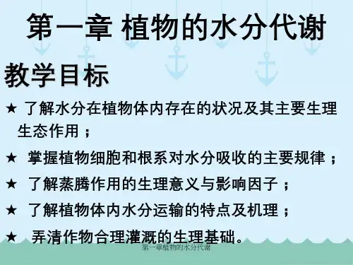 第一章植物的水分代谢