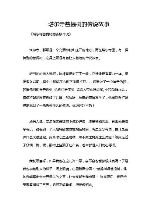 塔尔寺菩提树的传说故事