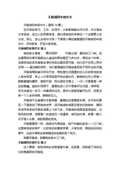 天鹅湖四年级作文