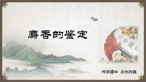 《中药鉴定技术》课件——麝香的鉴定