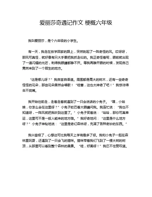 爱丽莎奇遇记作文 梗概六年级