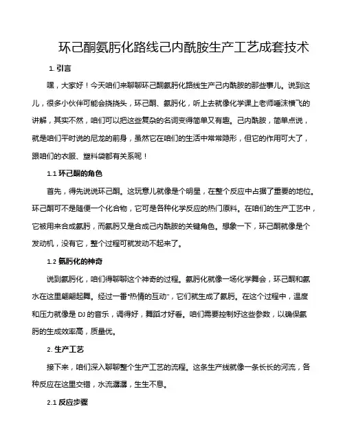 环己酮氨肟化路线己内酰胺生产工艺成套技术