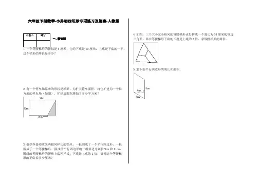 六年级下册数学-小升初四边形专项练习及答案-a4-人教版