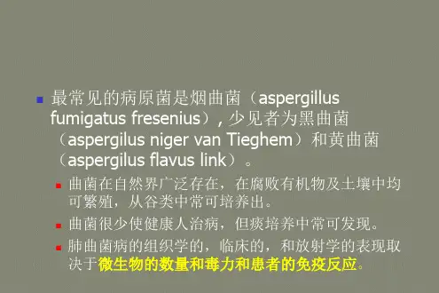 肺曲霉病的分型与影像诊断-王敏君