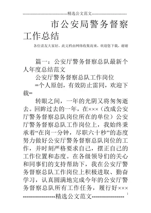 市公安局警务督察工作总结_0