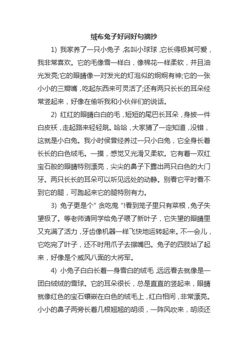 绒布兔子好词好句摘抄