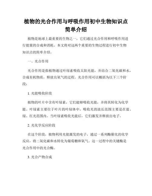 植物的光合作用与呼吸作用初中生物知识点简单介绍