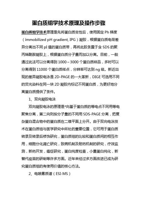 蛋白质组学技术原理及操作步骤