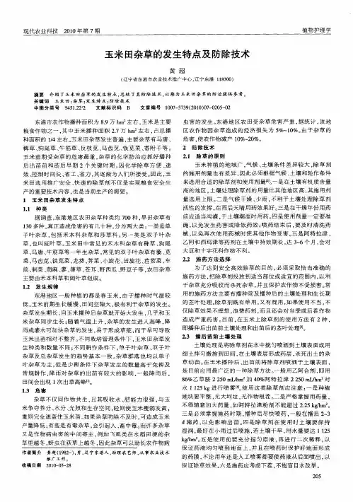玉米田杂草的发生特点及防除技术