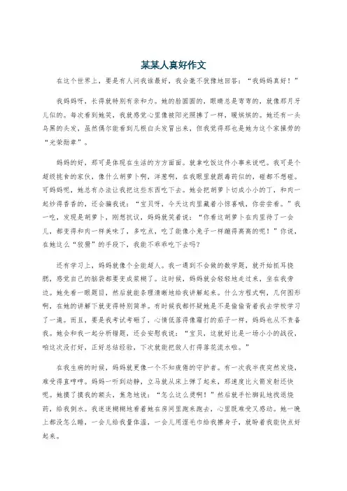 某某人真好作文