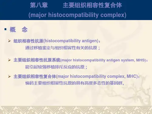 8_主要组织相容性复合体