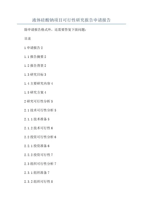液体硅酸钠项目可行性研究报告申请报告
