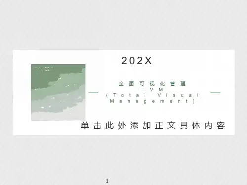 可视化管理、色彩标识