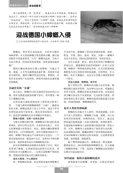 迎战德国小蟑螂入侵