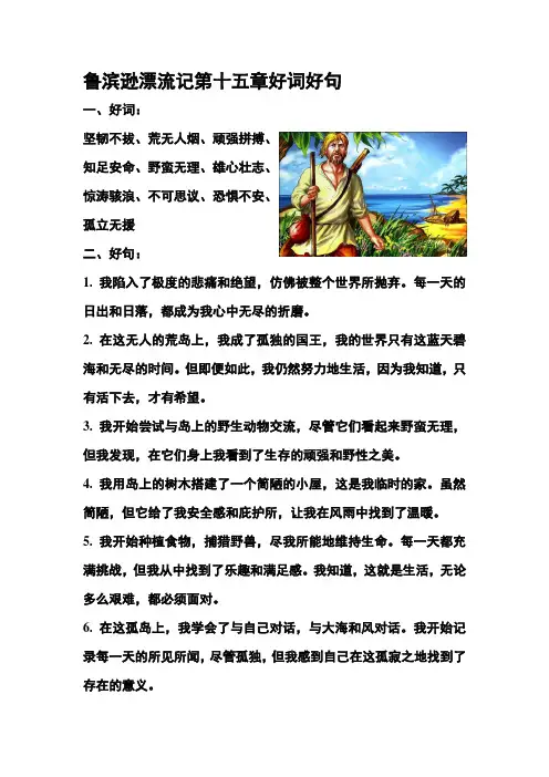 鲁滨逊漂流记第十五章好词好句