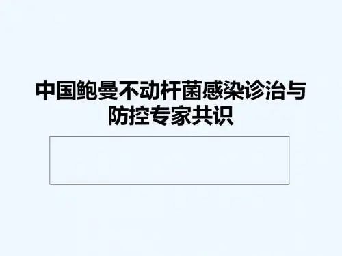 鲍曼不动
