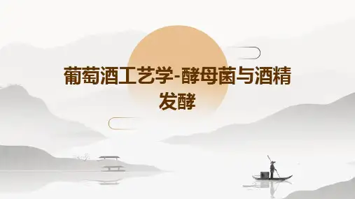 葡萄酒工艺学-酵母菌与酒精发酵
