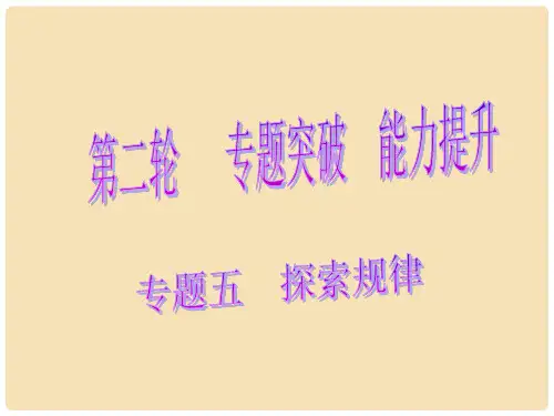 中考数学总复习 第二轮 专题突破 能力提升 专题五 探