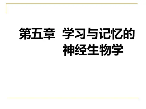 第五章学习与记忆的神经生物学ppt课件