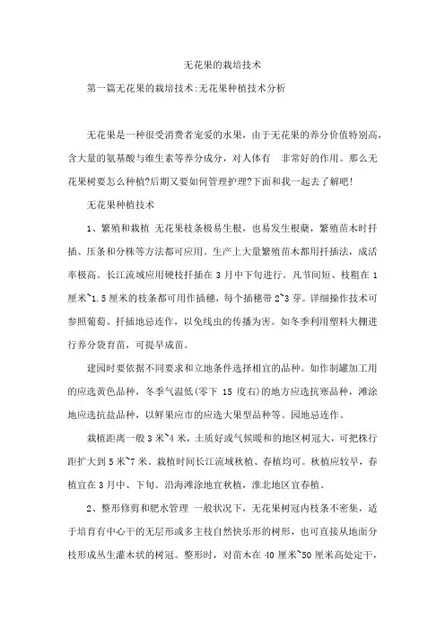 无花果的栽培技术