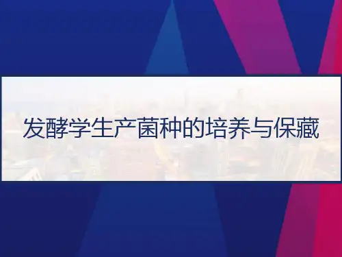 发酵学生产菌种的培养与保藏 PPT