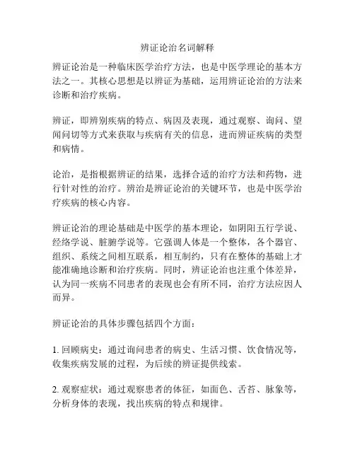 辨证论治名词解释