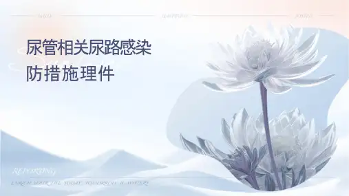 导尿管相关尿路感染预防措施护理课件
