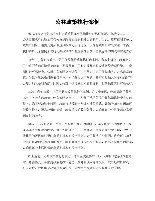 公共政策执行案例