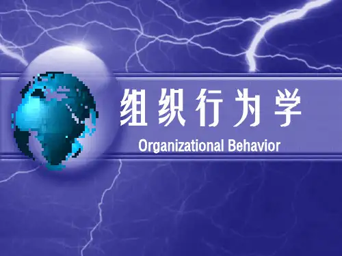 组织行为学第一章 绪论