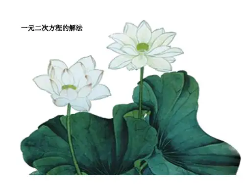 人教版九年级数学上册教学课件：用因式分解法解一元二次方程