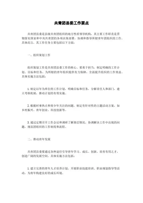 共青团县委工作要点