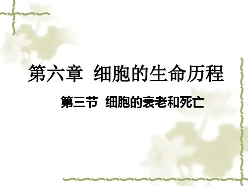 6.3细胞的衰老和死亡(共22PPT)
