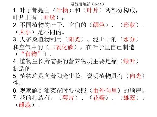 新版三年级下科学-植物和我们 苏教版