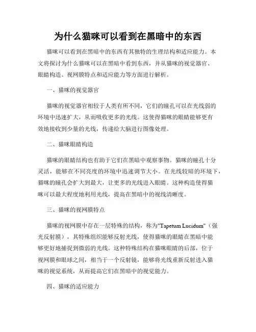 为什么猫咪可以看到在黑暗中的东西