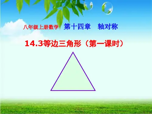 等边三角形专题知识公开课获奖课件省赛课一等奖课件