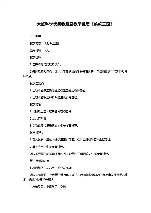 大班科学优秀教案及教学反思《蚂蚁王国》