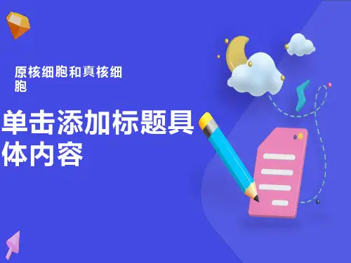 原核细胞和真核细胞
