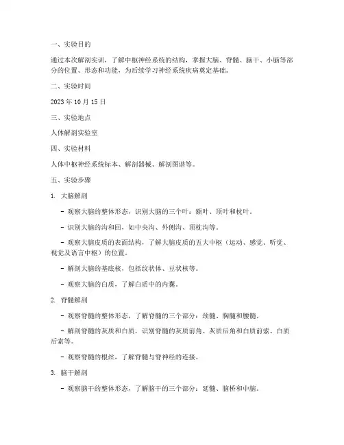 解剖实训报告中枢神经系统