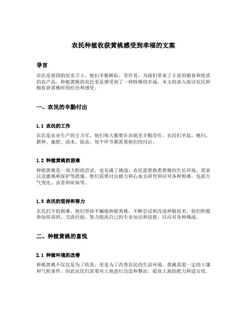 农民种植收获黄桃感受到幸福的文案