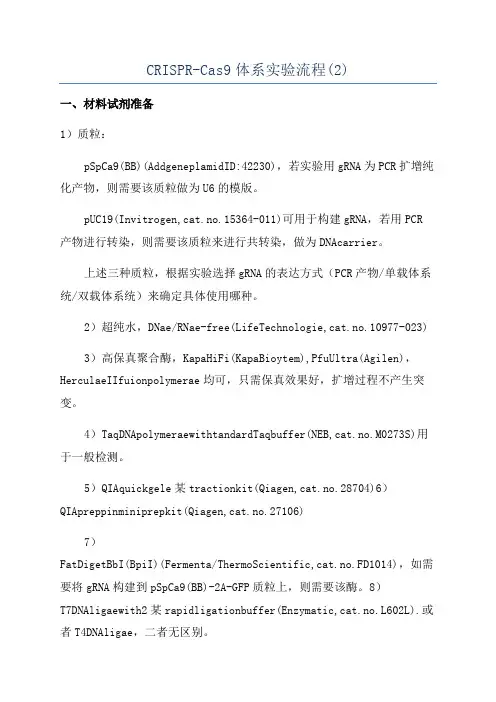 CRISPR-Cas9体系实验流程(2)