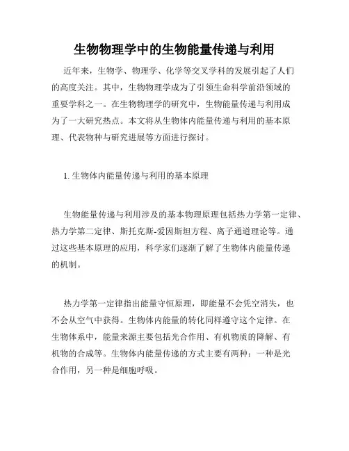 生物物理学中的生物能量传递与利用