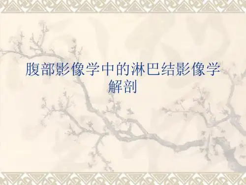 最新腹部影像学中的淋巴结影像学解剖-药学医学精品资料
